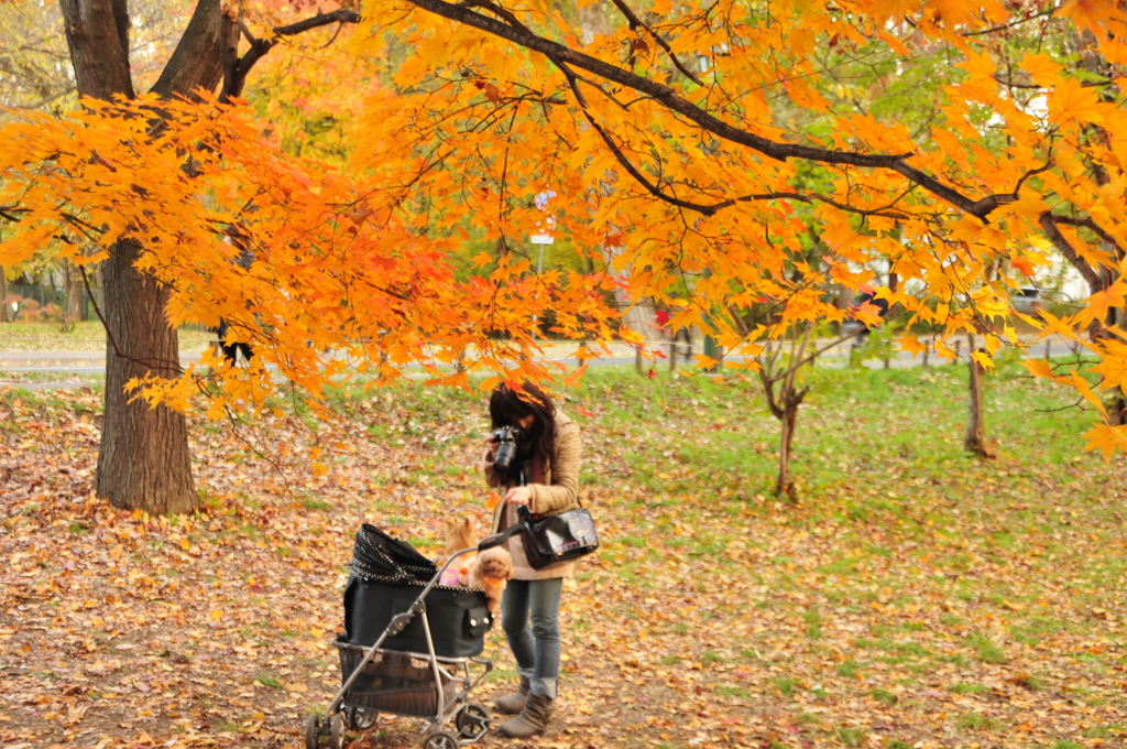 紅葉に塗れて