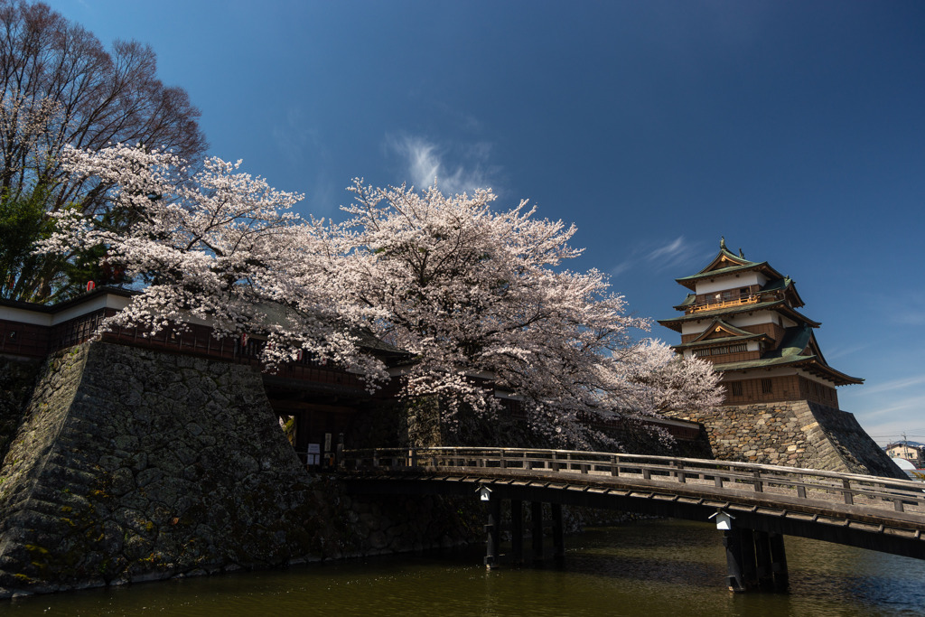 桜と城