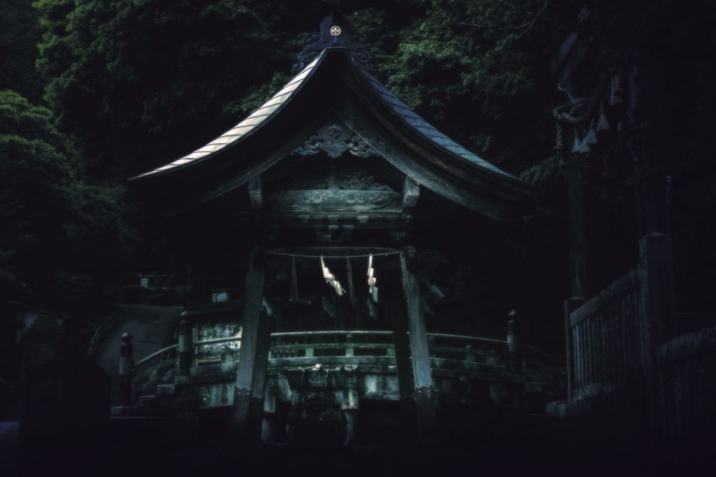 社