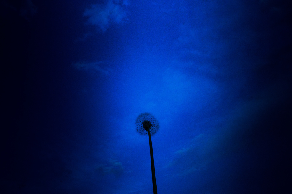 空へ