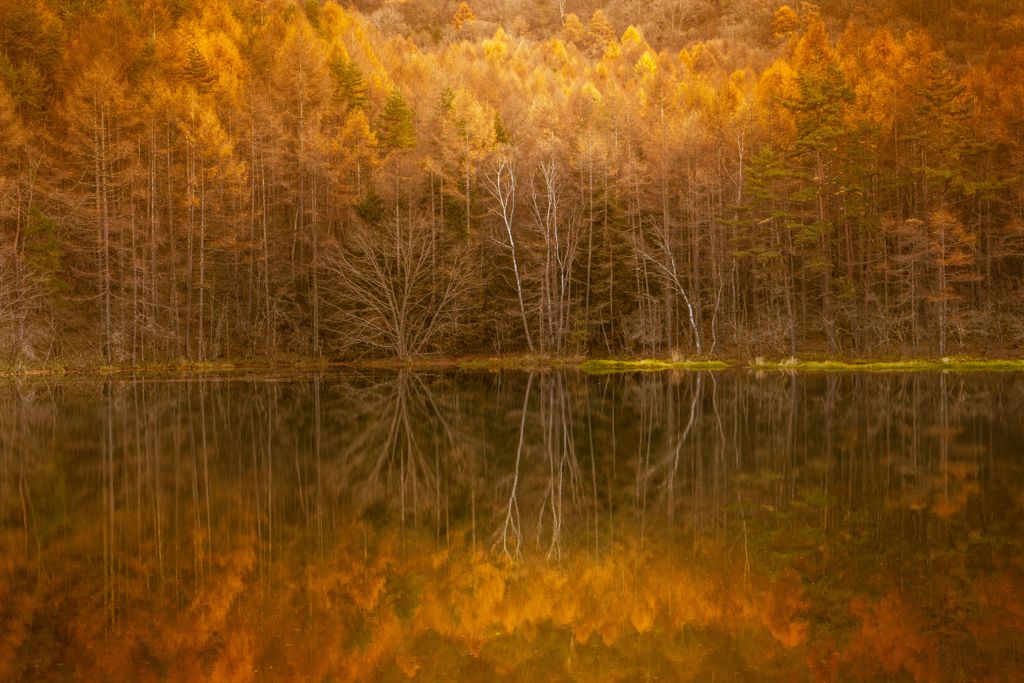 水鏡の晩秋