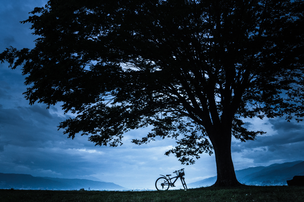 自転車Ⅱ