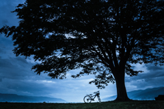 自転車Ⅱ