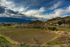 春の風景