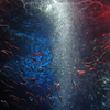 Sardine's meteor shower 03