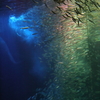 Sardine's meteor shower 02