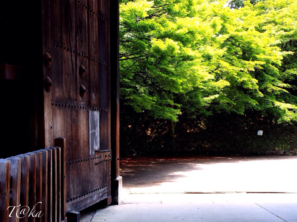 夏色の弘前公園