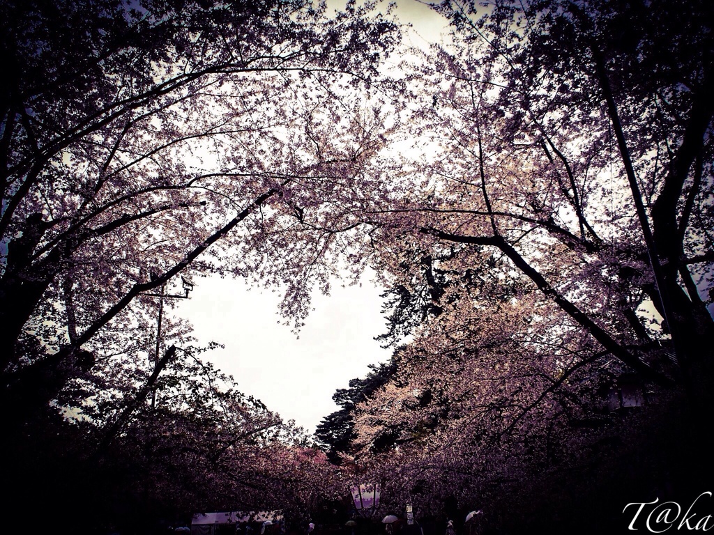 胸キュンキュン♥︎