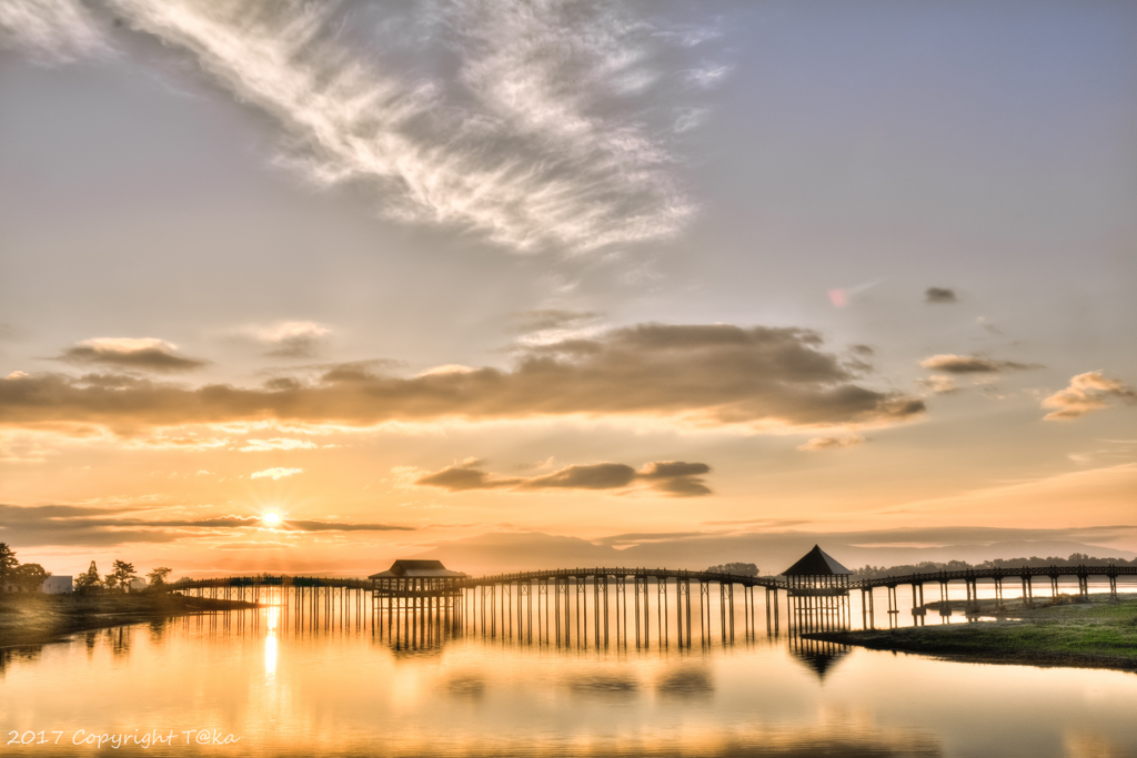 ご無沙汰しています