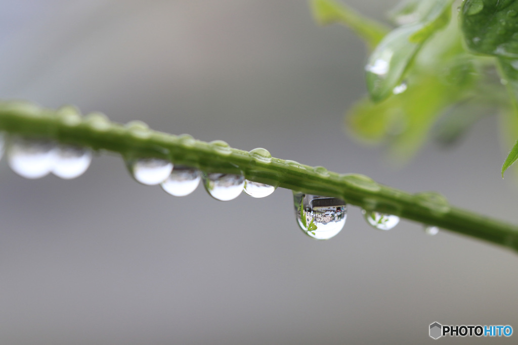 水玉の世界