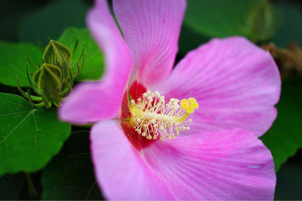 お披露目はいつ？