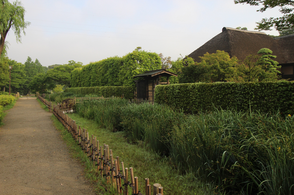 タイムトラベル