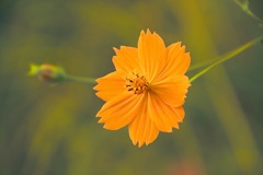 晴れましたね〜