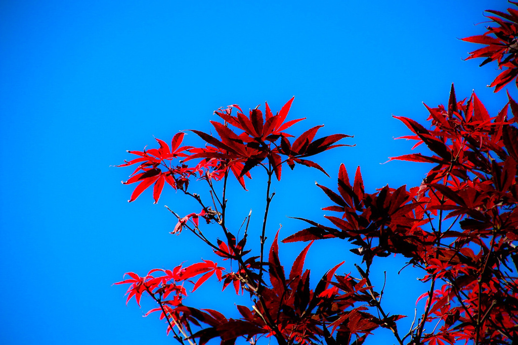 高い空
