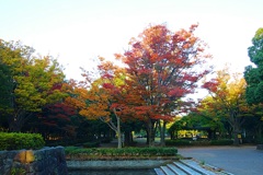 いらっしゃいませ〜①