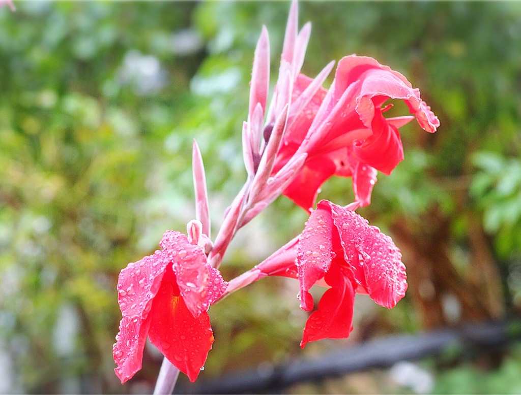 耐えましたよ〜