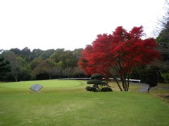 今が盛り