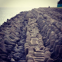 海に似合わない？