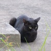 鋭い眼光の先には…