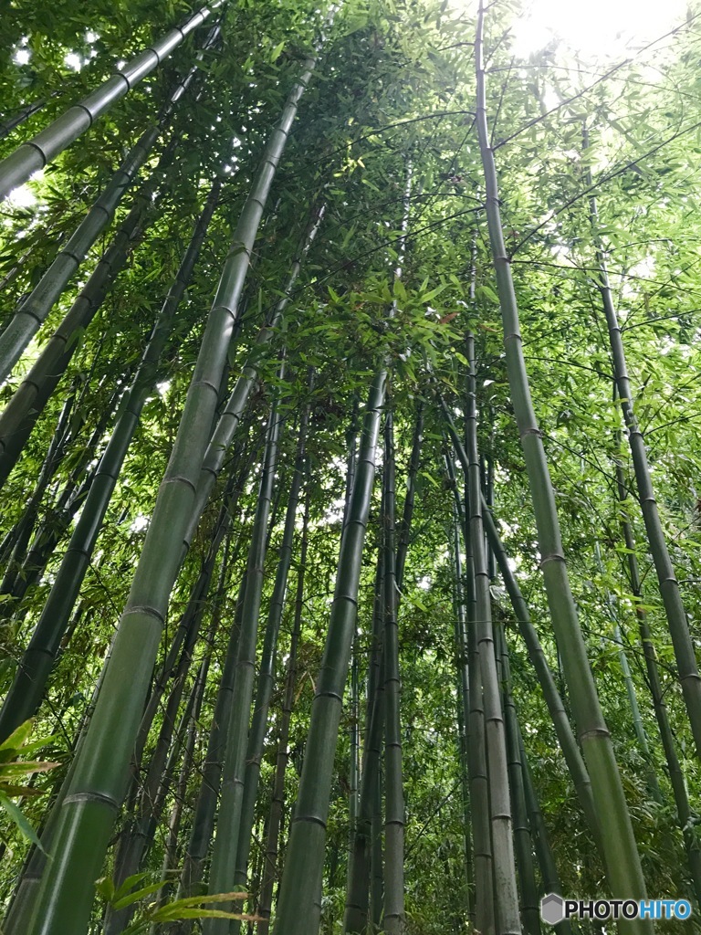 涼風をどうぞ