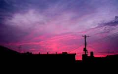 暑くなりそう…