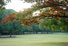 いらっしゃいませ②