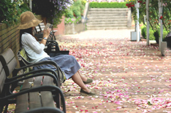 薔薇の花びらの香りに包まれて