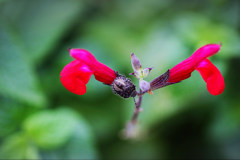 君、同化してるよ⁈