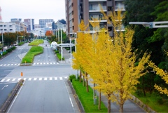 待ってました！