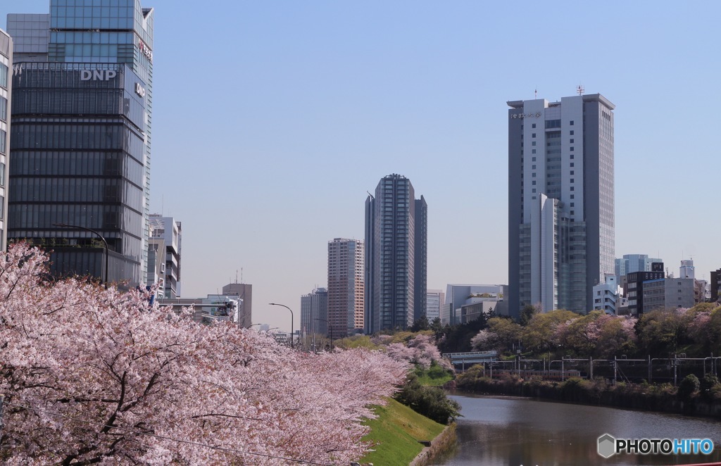 東京 市ヶ谷 外濠附近