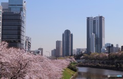 東京 市ヶ谷 外濠附近