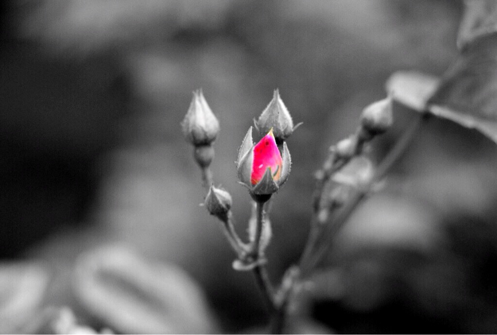 もう少しだぁ！頑張れ〜！