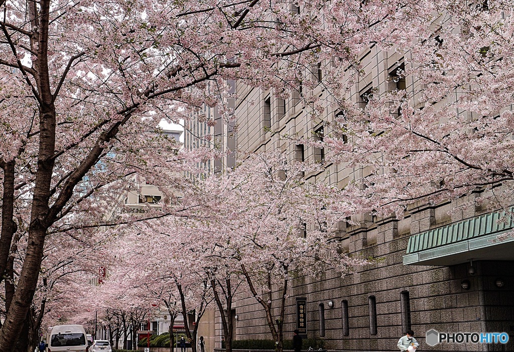 日本橋  貨幣博物館