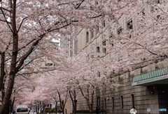 日本橋  貨幣博物館