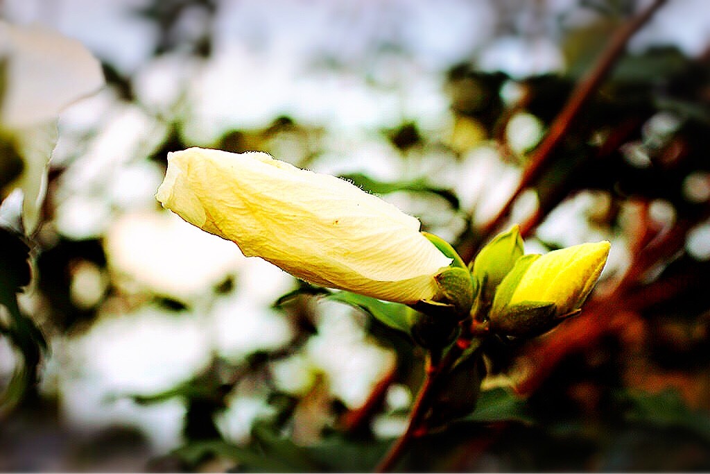 朝だ！活動開始！