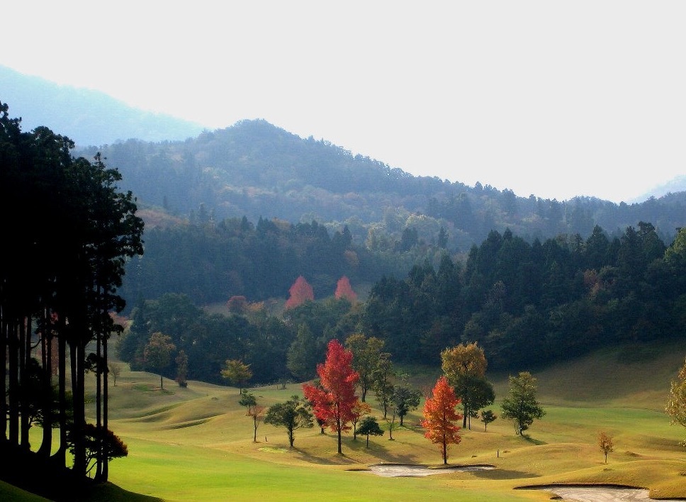 ここにも秋が…