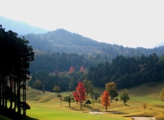 ここにも秋が…