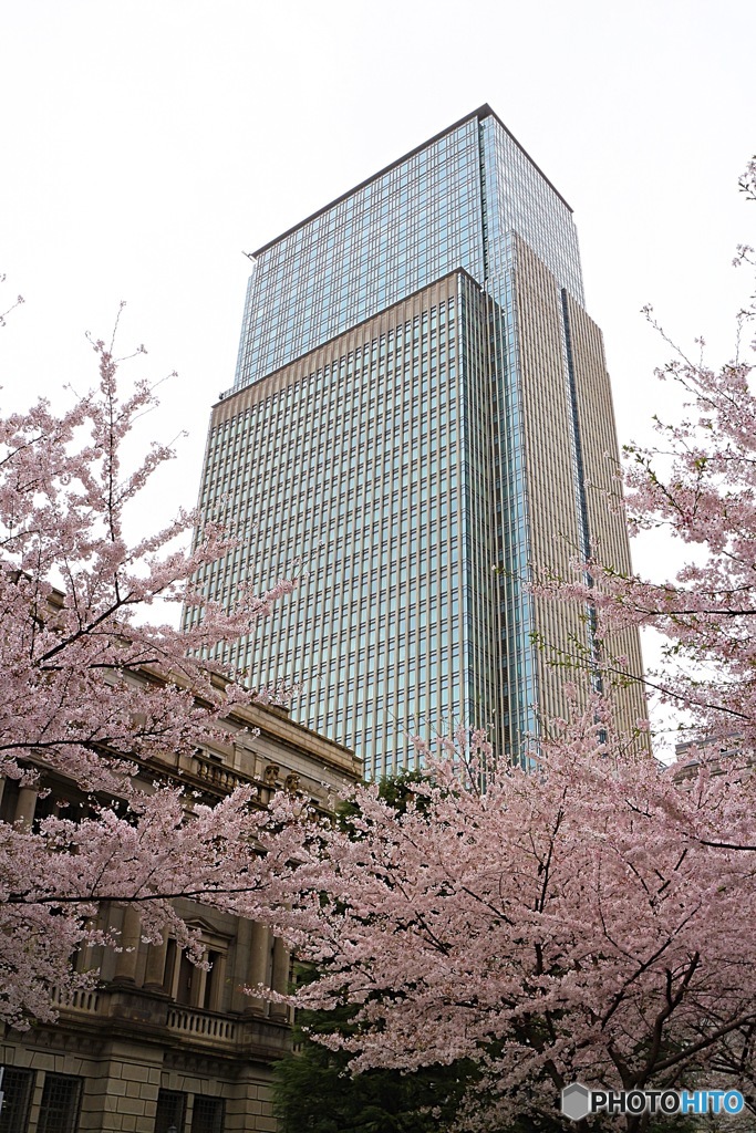 日本銀行本店本館と三井タワー