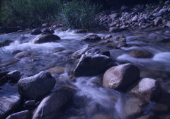 少しは涼しくなりましたか？