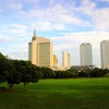 Urban Oasis