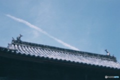 飛行機雲