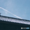 飛行機雲