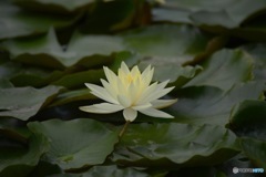 ワタシヲミテ、、、