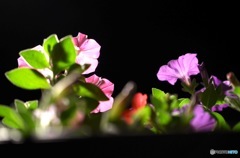 花二塔