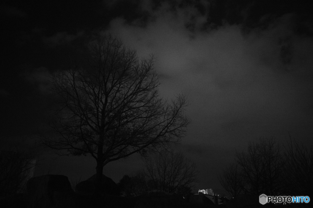 灰雲、黒木。