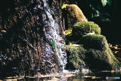 水光