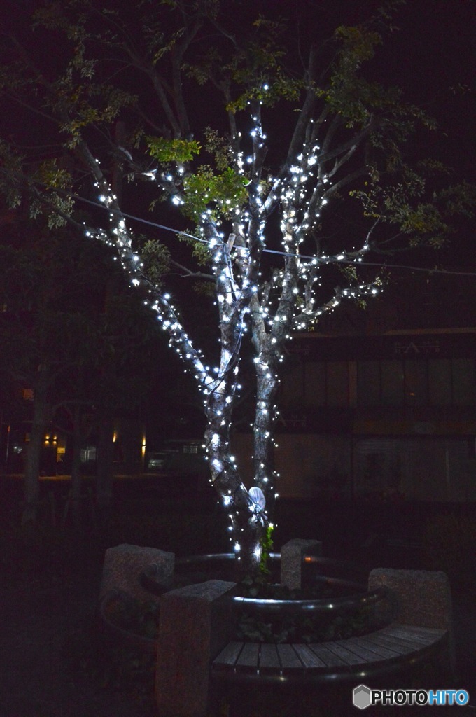 電飾