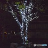 電飾