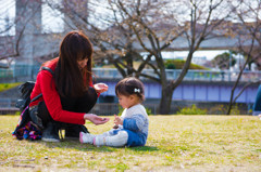 僕の奥さん&おちびちゃん