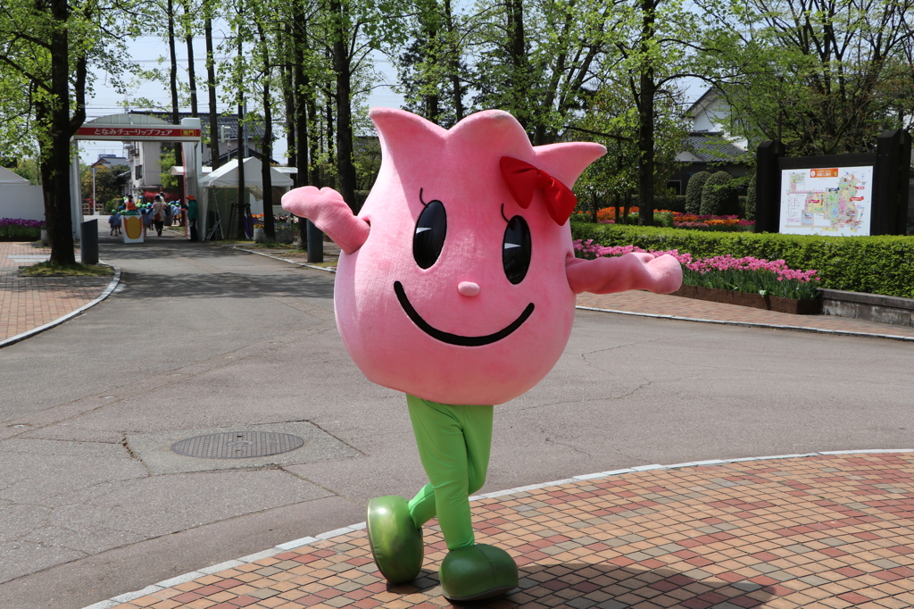 リップちゃん